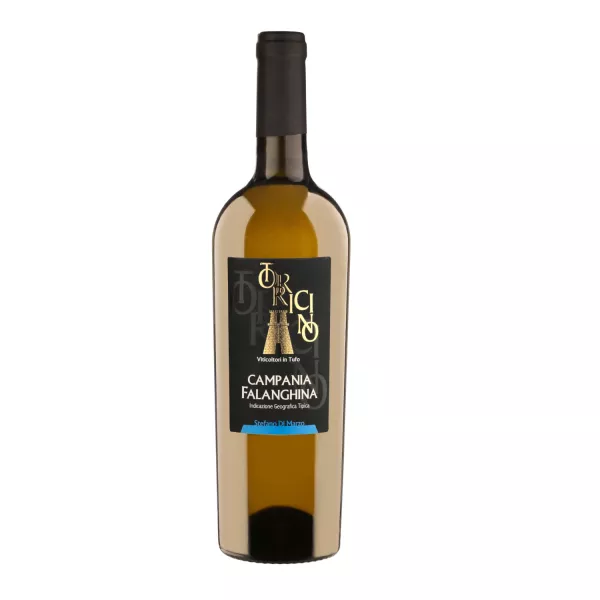 Torricino Falanghina Campania IGT 2023