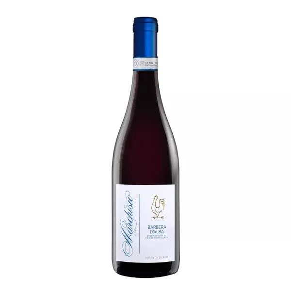 Belbeive Barbera d’Alba DOC 2023 Vino Biologico Marchisio Family